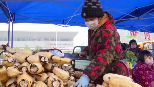 滯銷農副產品直銷進城 新鮮便宜還放心，市民農戶雙贏新探索