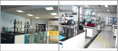 禽藥與獸藥新技術(shù)交流 以質(zhì)量為核心，共筑未來獸藥發(fā)展之路